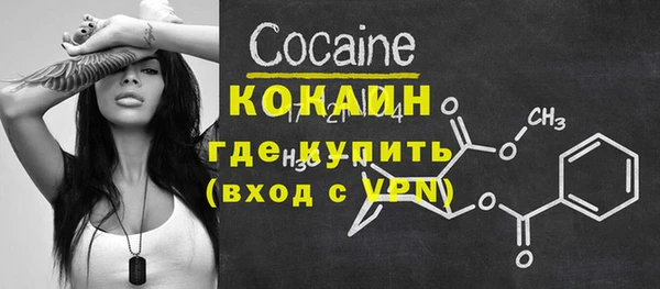 индика Аркадак