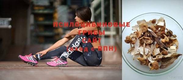 индика Аркадак