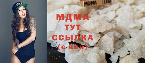 индика Аркадак