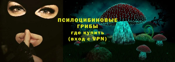 ГАЛЛЮЦИНОГЕННЫЕ ГРИБЫ Армянск