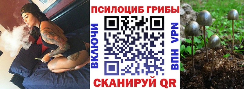 Псилоцибиновые грибы Cubensis  Купить  Краснознаменск 