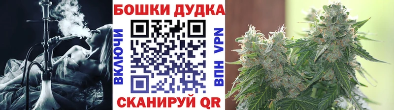 Купить закладки  Краснознаменск  МАРИХУАНА сатива 